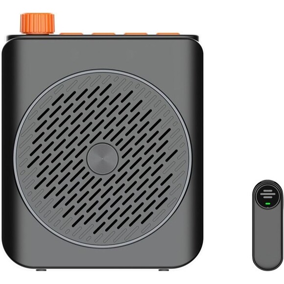 Dual Wireless Microphone Voice Amplifier for Teachers with Magnetic Charging - Picture 1 of 8